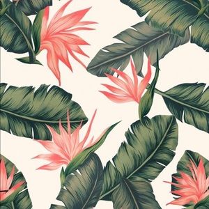 Meet your Posher, Sierra